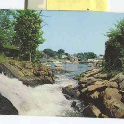 Phyllis Young Collection    008