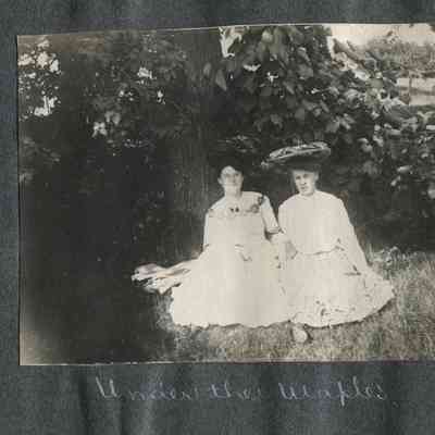 Under The Maples_p047