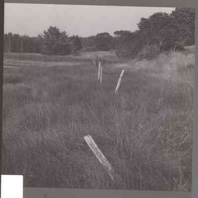 The Length and Breadth of Maine