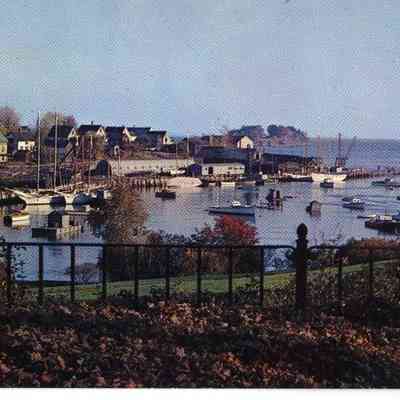 Pat Jones Postcard Collection 103