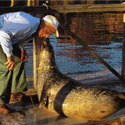 Milliken Collection 082