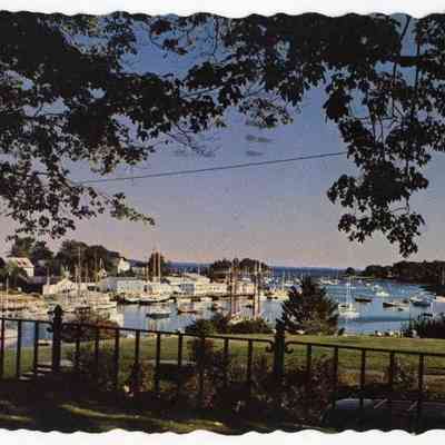 Pat Jones Postcard Collection 105