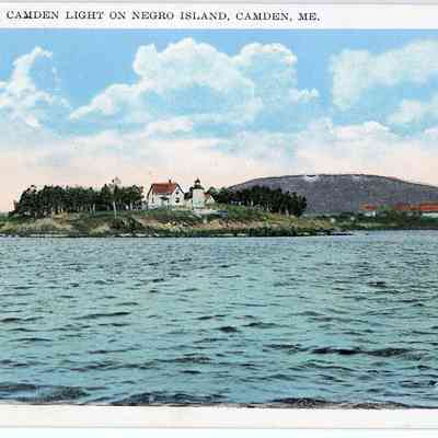 Pat Jones Postcard Collection 319