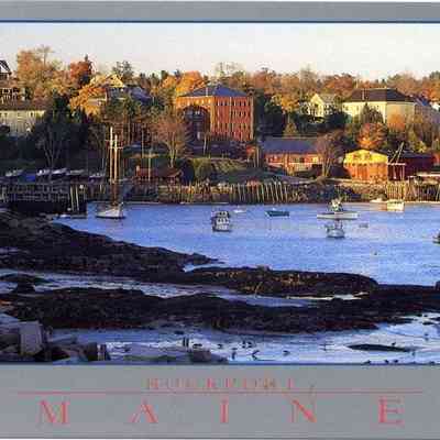 Milliken Collection 084