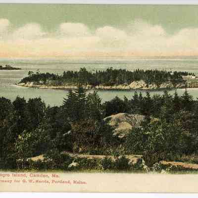 Pat Jones Postcard Collection 320