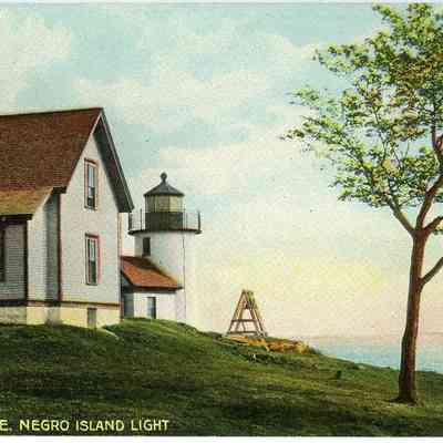 Pat Jones Postcard Collection 321