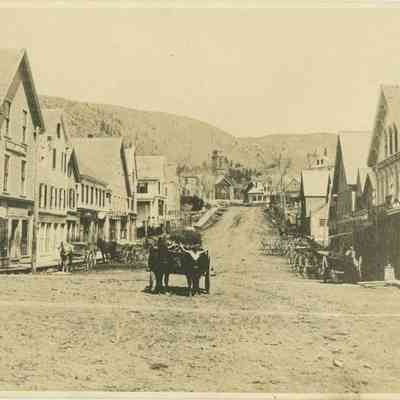 Oxen on Main Street in Camden circa 1870: Copyright: None; Origformat: Print-Photographic