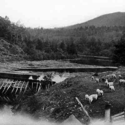 Ducktrap River with dam and mountain
