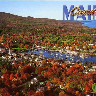 Milliken Collection 087