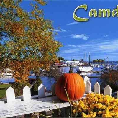 Milliken Collection 088