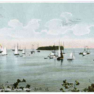 Pat Jones Postcard Collection 324