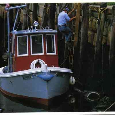 Milliken Collection 089