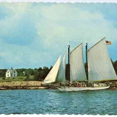 Pat Jones Postcard Collection 325