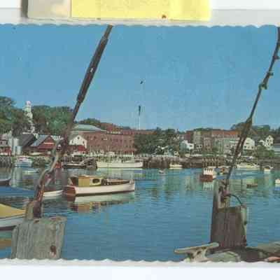 Phyllis Young Collection    020