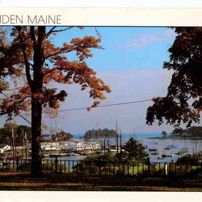 Pat Jones Postcard Collection 113