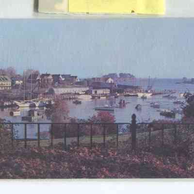 Phyllis Young Collection    021