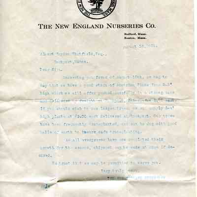 Letter to Albert Chatfield re: Victory Grove trees