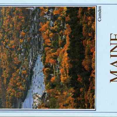 Milliken Collection 092