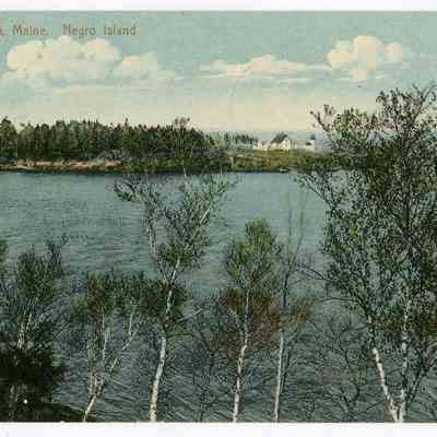 Pat Jones Postcard Collection 328