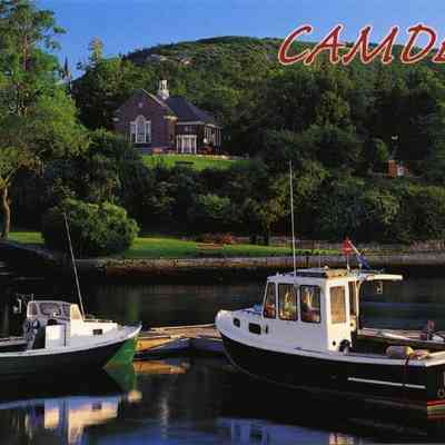 Milliken Collection 093