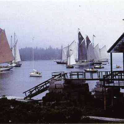 Milliken Collection 094