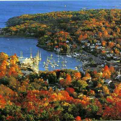 Milliken Collection 096