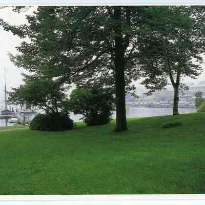 Pat Jones Postcard Collection 119