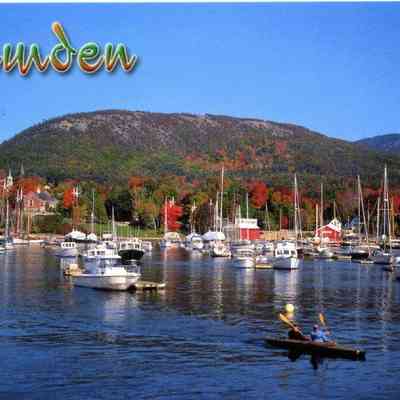 Milliken Collection 098