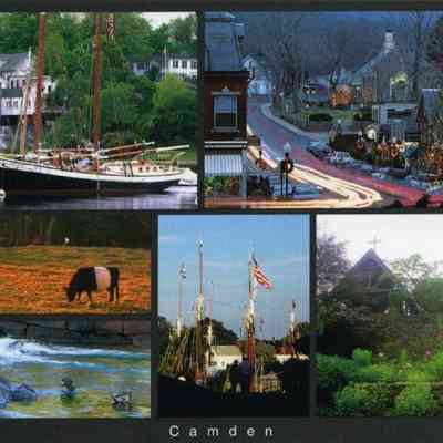 Milliken Collection 099