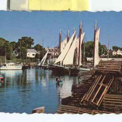 Phyllis Young Collection    030