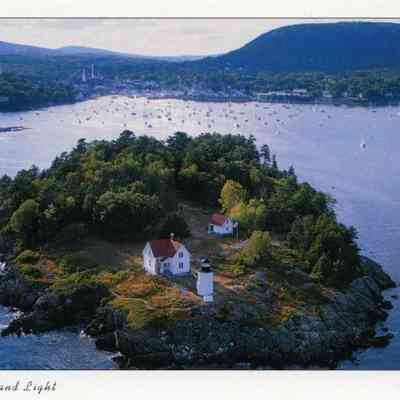 Milliken Collection 100