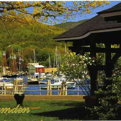 Milliken Collection 101