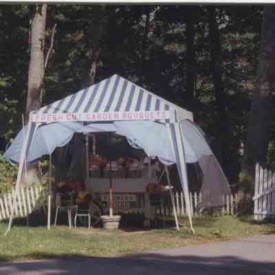 Goodwin Collection 056