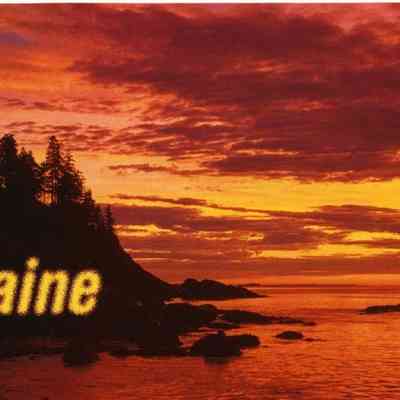 Milliken Collection 105