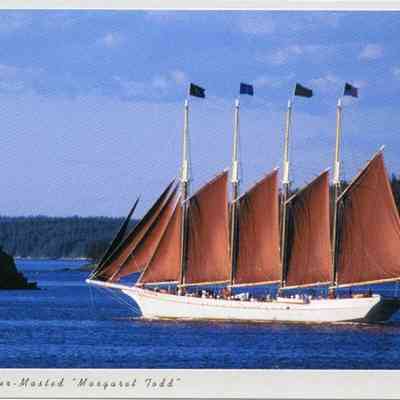 Milliken Collection 106