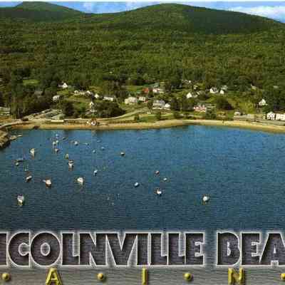 Milliken Collection 107