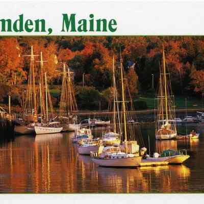 Milliken Collection 108