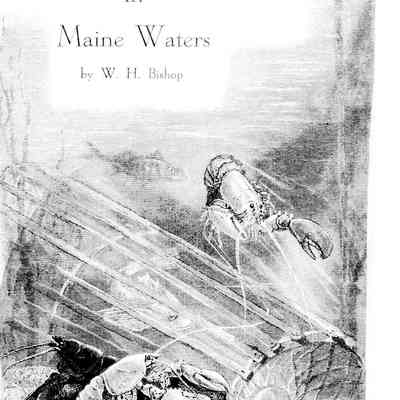 The Lobster at Home in Maine Waters