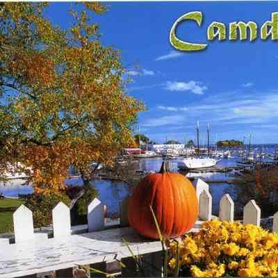 Milliken Collection 109