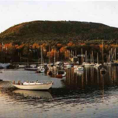 Milliken Collection 111