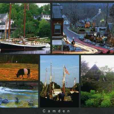 Milliken Collection 112