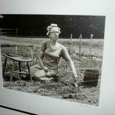 Schoolteacher Marian Milliken in her garden in Lincolnville