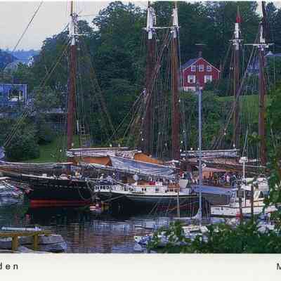 Milliken Collection 114