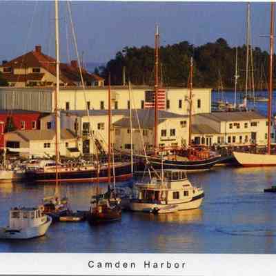 Milliken Collection 115