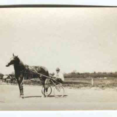 Racehorse and sulky: Origformat: Print-Photographic; Resolution: 150