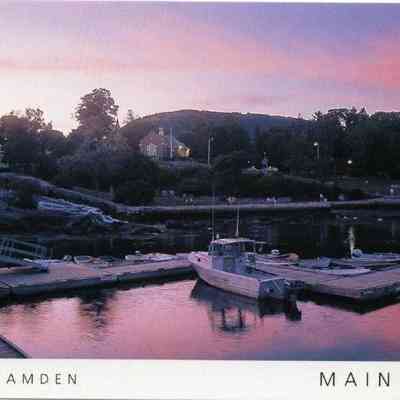 Milliken Collection 116