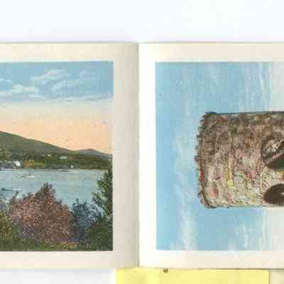 Phyllis Young Collection    042i,j