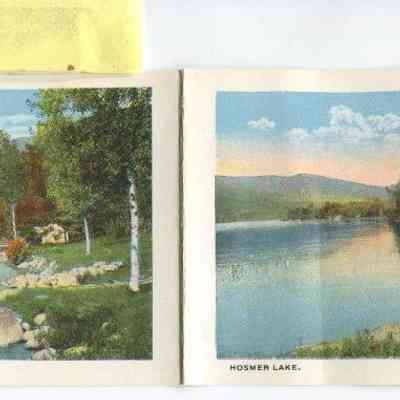 Phyllis Young Collection    042m,n