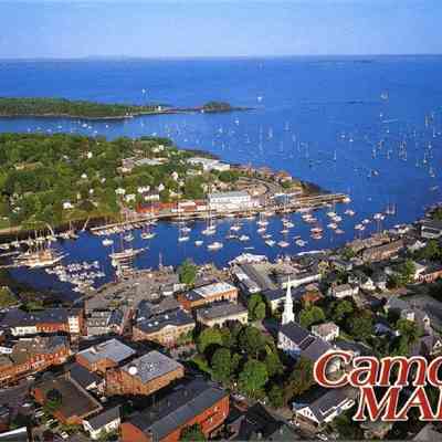 Milliken Collection 119