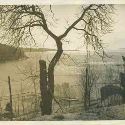 head of Rockport harbor: Copyright: None; Origformat: Print-Photographic